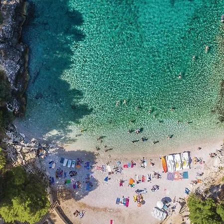 Lejlighed In With Kitchen *