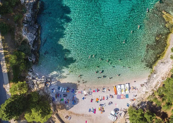 Lejlighed In With Kitchen *